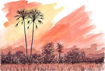 Image showing African sunset with palm trees