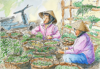 Image showing Vietnamese vegetable stall on a local market