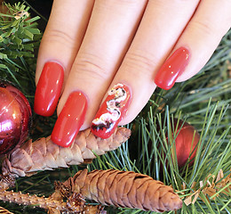 Image showing Beautifully manicured fingernails