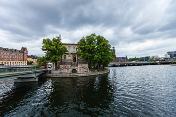 Image showing City trees