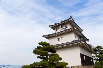 Image showing Japanese castle in Marugame