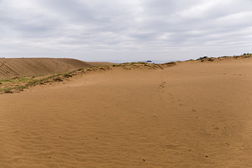 Image showing Tottori Dunes