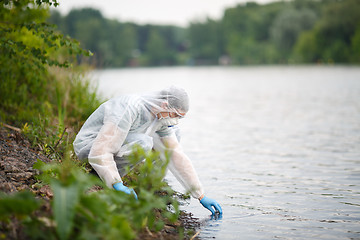 Image showing Ecologist takes sample of water