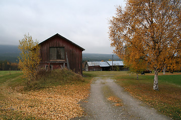 Image showing Autum colors