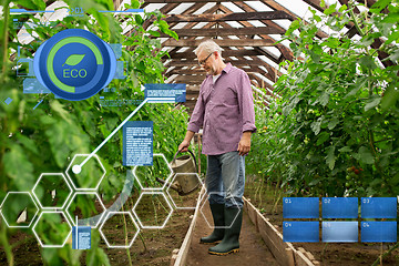 Image showing senior man with watering can at farm greenhouse