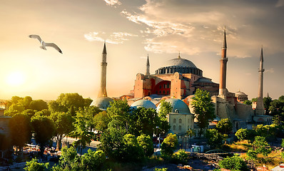 Image showing Bird and Hagia Sophia