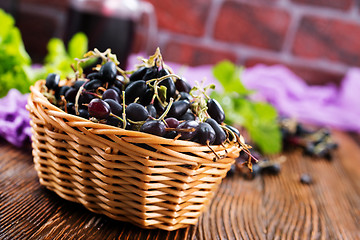 Image showing black currant