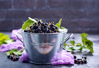 Image showing black currant