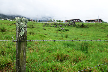 Image showing Cattle Farm in Kundasang Sabah