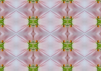 Image showing pink and green pattern