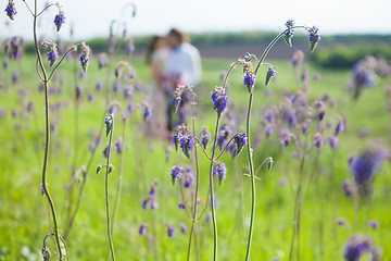 Image showing Just married loving couple in wedding dress on green field in a forest at summer