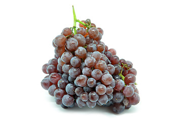 Image showing Gourmet champagne grapes