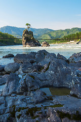 Image showing Fast mountain river Katun