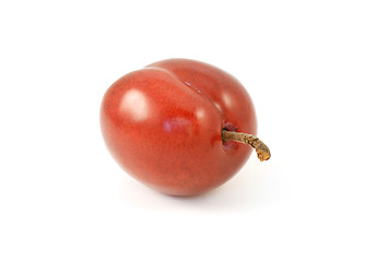 Image showing One ripe red plum with stalk