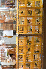 Image showing Yellow Cages For Birds