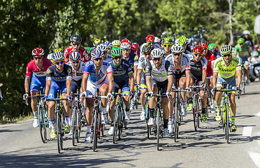 Image showing The Peloton on Mont Ventoux - Tour de France 2016