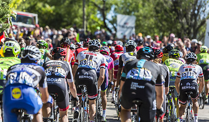 Image showing The Peloton on Mont Ventoux - Tour de France 2016