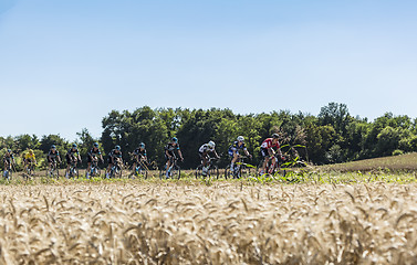 Image showing The Peloton in the Plain - Tour de France 2016