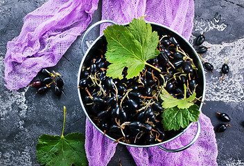 Image showing black currant