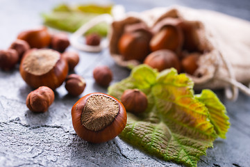 Image showing hazelnuts