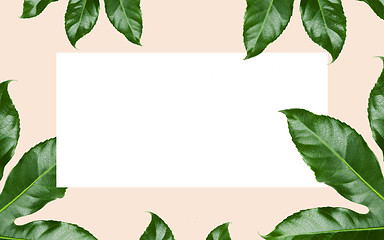 Image showing green leaves over white blank space on beige