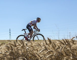 Image showing Andre Greipel Riding in the Plain - Tour de France 2016