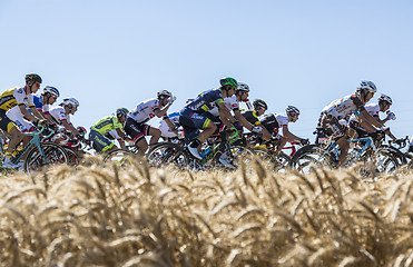 Image showing The Peloton in the Plain - Tour de France 2016