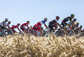 Image showing The Peloton in the Plain - Tour de France 2016