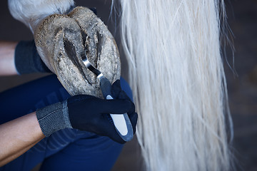 Image showing Man cleaning horse hoof