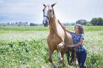 Image showing Woman training her horse