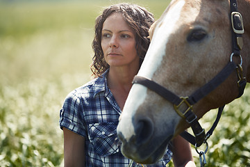 Image showing Woman and horse together at paddock