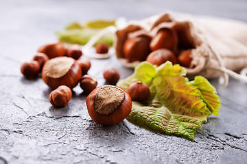 Image showing hazelnuts