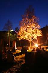 Image showing Graveyard