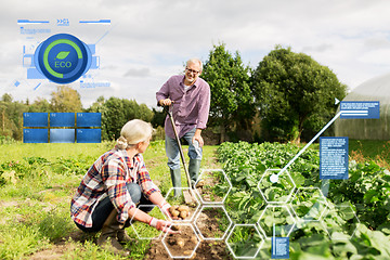 Image showing senior couple planting potatoes at garden or farm