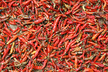 Image showing Red pepper