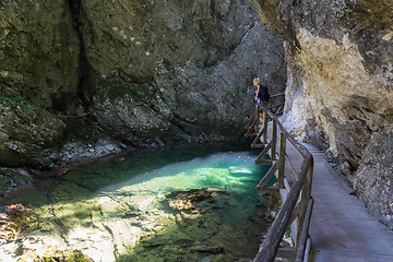 Image showing Woman hiking in Vintgar gorge in Slovenia near lake Bled.