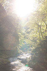 Image showing The fabulous Vintgar Gorge in Slovenia near lake Bled