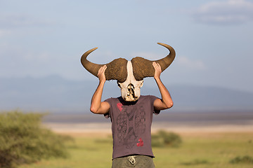 Image showing Man holding big african buffalo skull wearing it like a mask in nature on african wildlife safari.