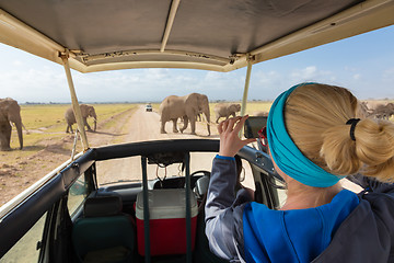 Image showing Woman taking photos on african wildlife safari. Amboseli, Kenya.