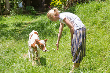 Image showing Woman caressing cute baby cow on meadow.