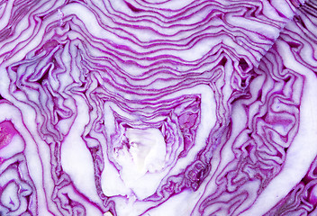 Image showing Cabbage Texture