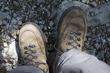 Image showing Brown hiking shoes