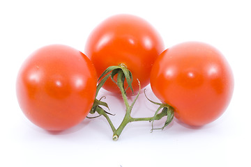 Image showing Tomatoes