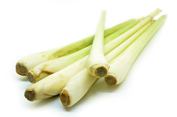 Image showing Bundle of lemon grass