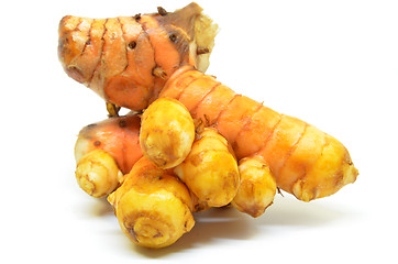 Image showing Turmeric rhizome on white background