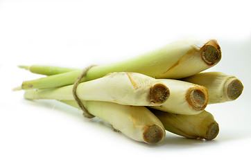 Image showing Bundle of lemon grass