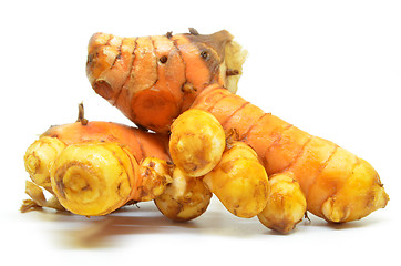 Image showing Turmeric rhizome on white background