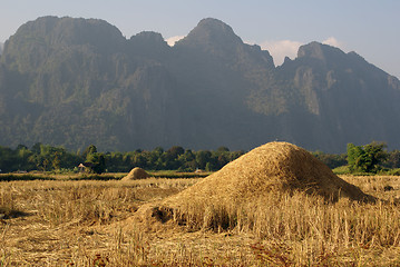 Image showing Stacks