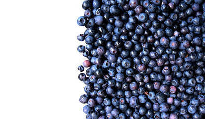 Image showing blueberries as nice background