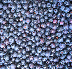 Image showing blueberries as nice background